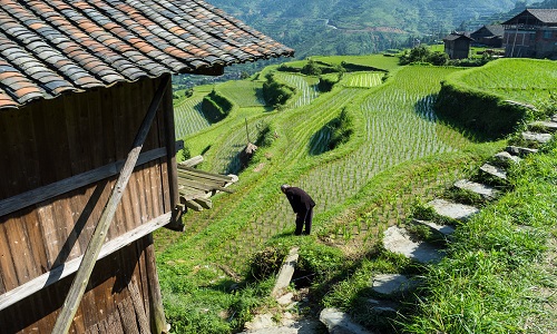 Tang'an-Dong-Village