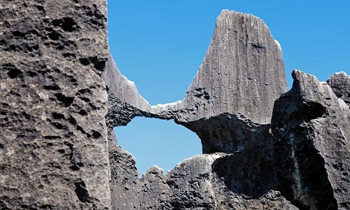 Stone-Forest