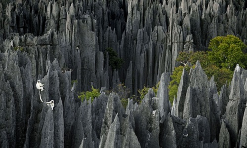 Stone-Forest-Kunming