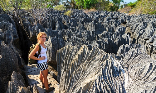 Stone-Forest