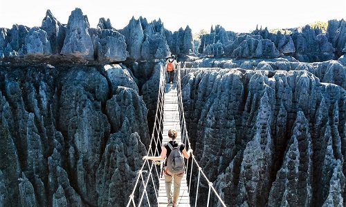 Stone-Forest