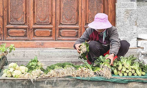 Country-Market