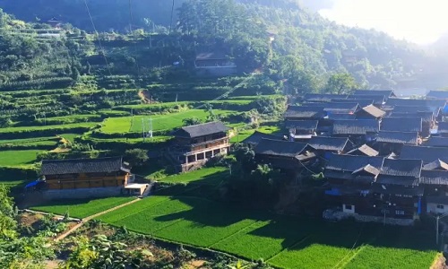 Dustpan-Miao-Village