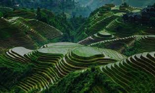 Longji-Terraces-Guilin