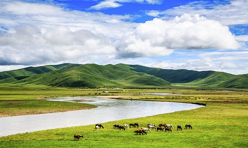 Ruoergai-Grassland