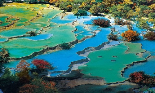 Five-Color-Pond