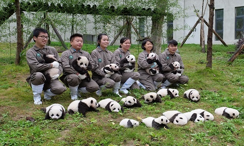Bifengxia-Panda-Base