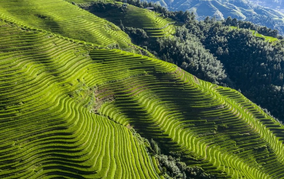 the-Longji-Rice-Terraces