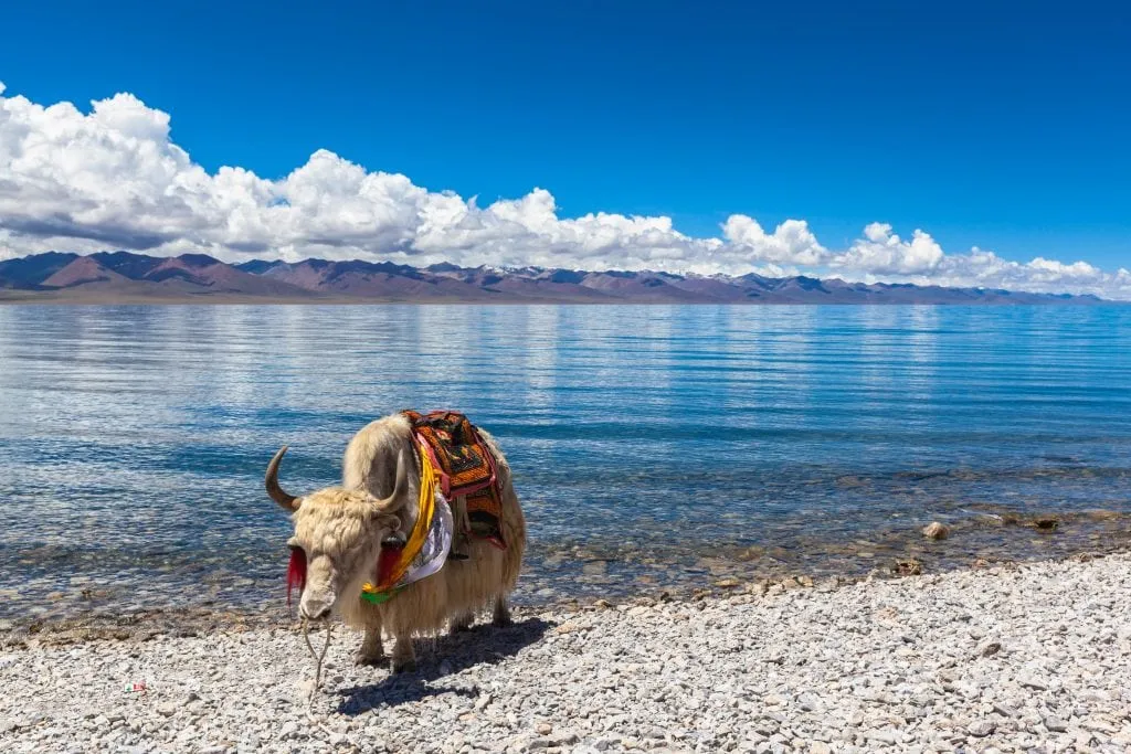 Namtso-lake-1