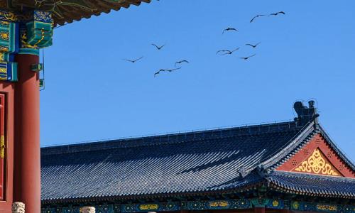 Temple-Of-Heaven-Beijing Temple-Of-Heaven-Beijing