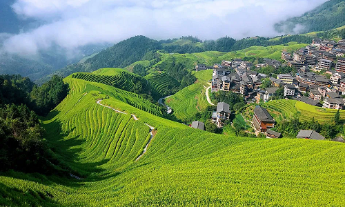 Gaoyao-Rice-Terraces