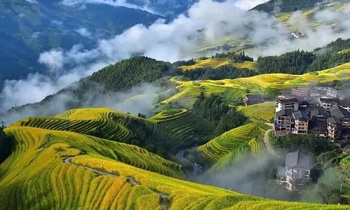 Longji-Rice-Terraces