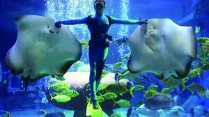 Harbin-Pole-Aquarium-1
