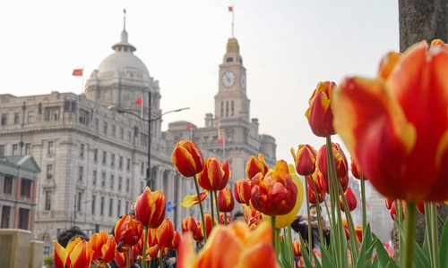 the-bund-shanghai the-bund-shanghai