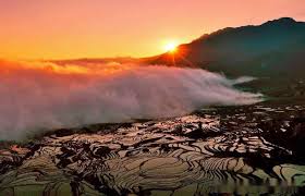 Duoyishu-Rice-Terraces