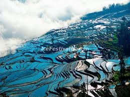 Duoyishu-Rice-Terraces-Yunnan