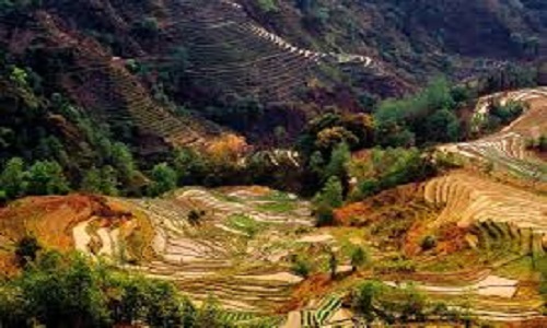 Tiger-Mouth-Rice-Terraces