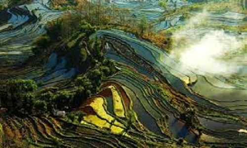 Tiger-Mouth-Rice-Terraces-Yunnan