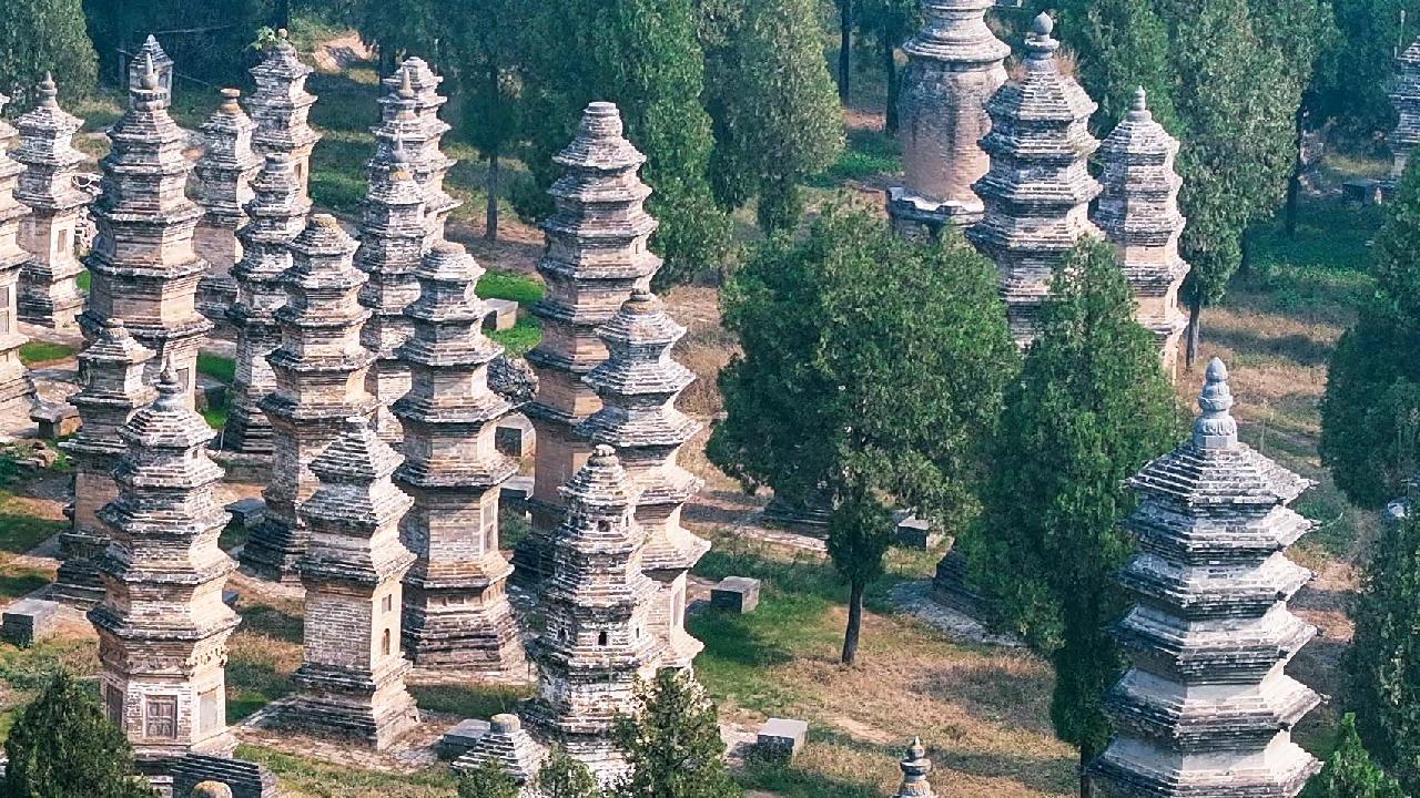 Pagoda-Forest