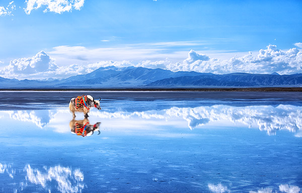 Chaka-Lake Chaka-Lake