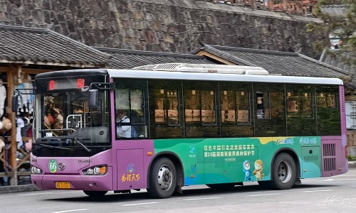 bus-system-zjj