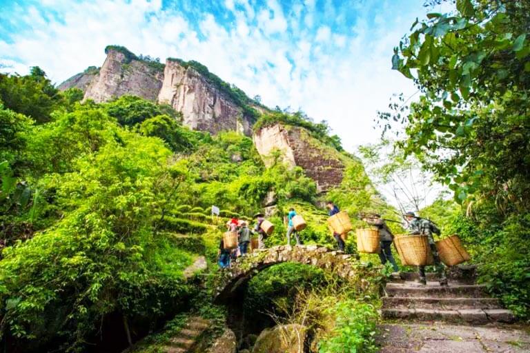 dahongpao-scenic-area