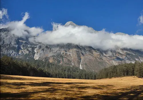 Spruce-Meadow-1