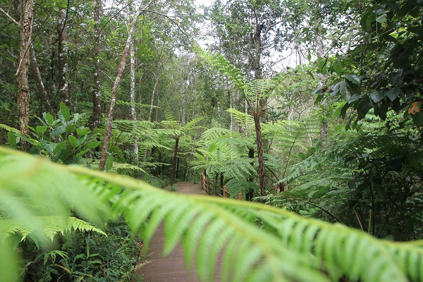 Sun-River-Forest-Park-2