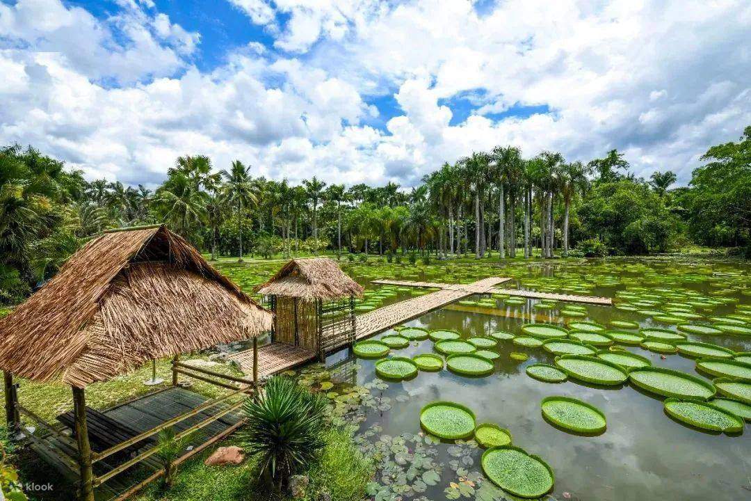 Tropical-Botanical-Garden