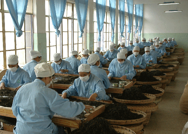 Xiaguan-Tea-Factory