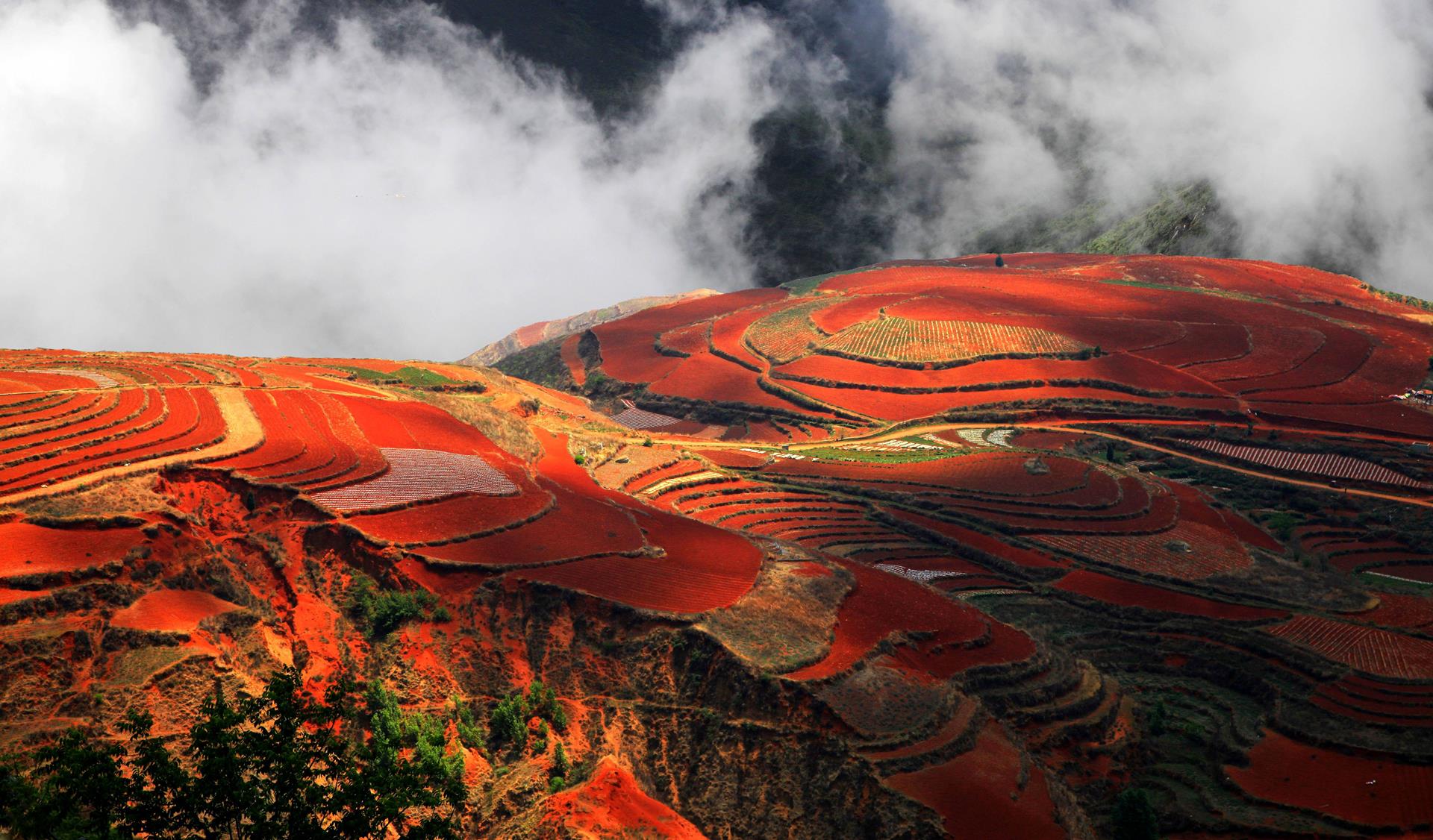 Dongchuan_Redland_Yunnan_China_02
