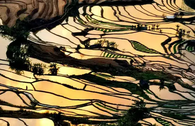 Yuanyang-Laohuzui-Terraced-Field