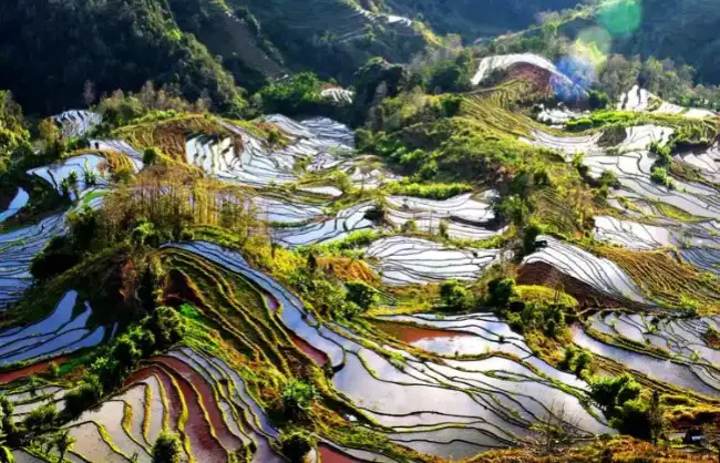 laohuzui-rice-terraces