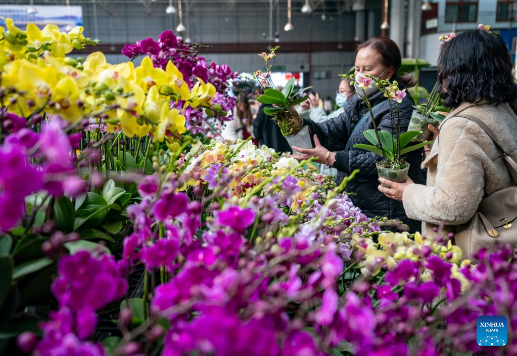 Dounan-Flower-Market-1