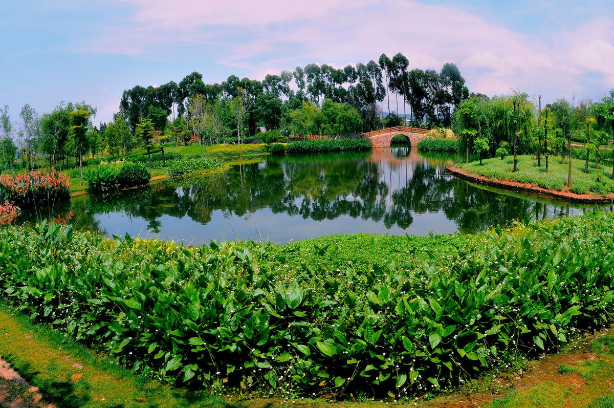 Moon-Bay-Wetland-1