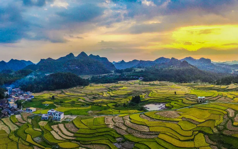 Niujie-Luosi-Field