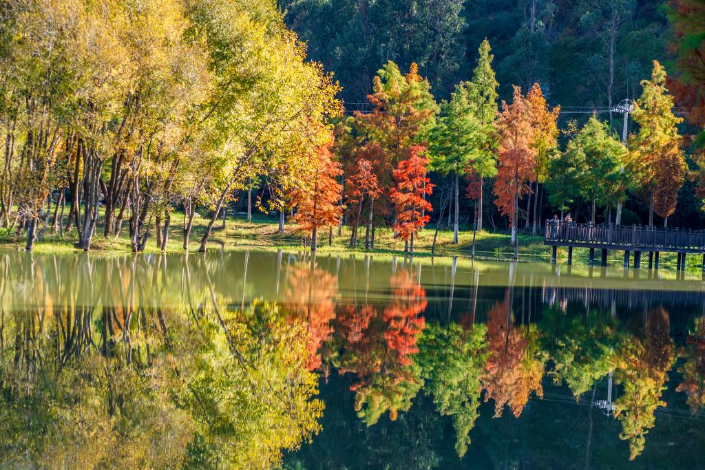 Cibi-Lake-1