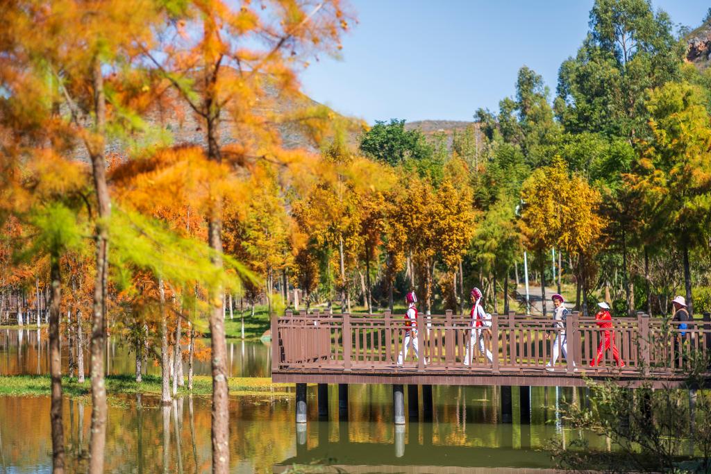 Cibi-Lake