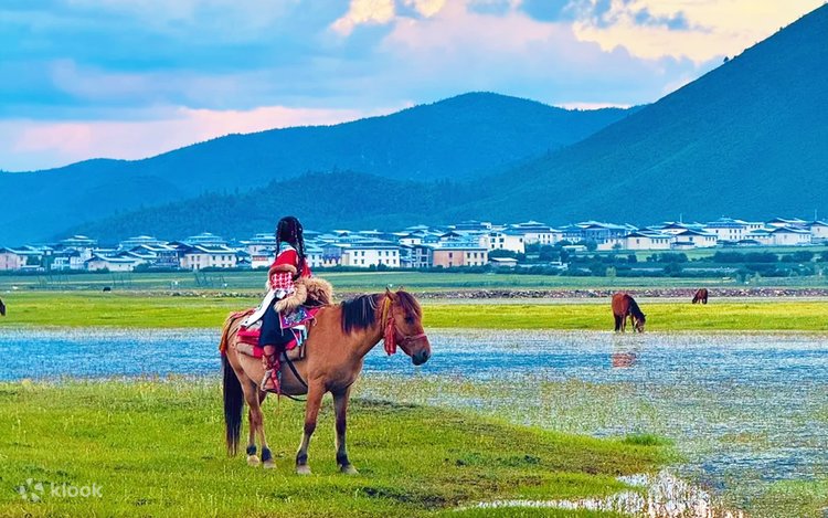 Horse-Riding