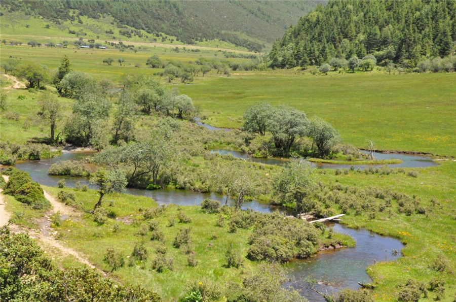Militang-Alpine-Pasture-in-Shangri-La-Diqing-09