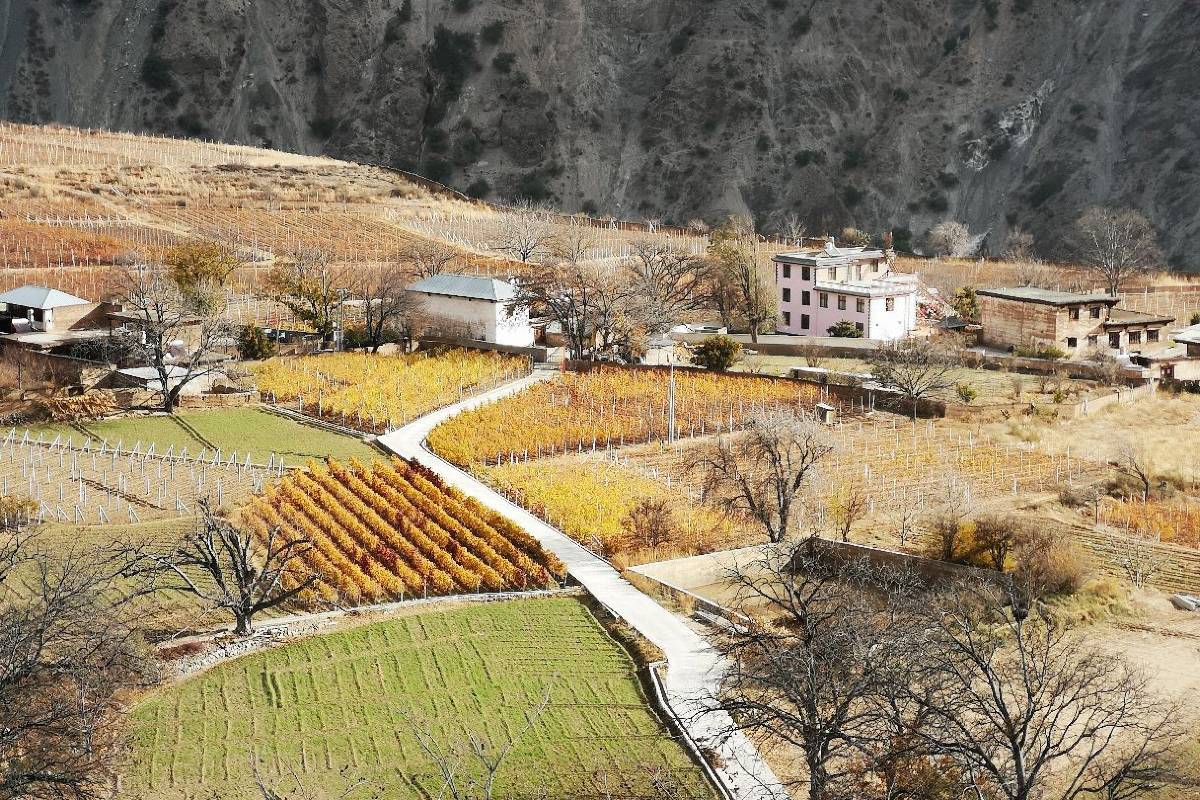 Xidang-Village-1