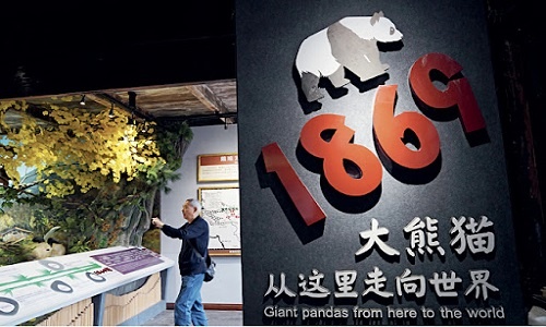 Wolong-Panda-BaseWolong-Panda-Museum Wolong-Panda-BaseWolong-Panda-Museum