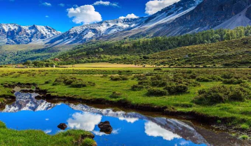 summer-in-Daocheng-Yading