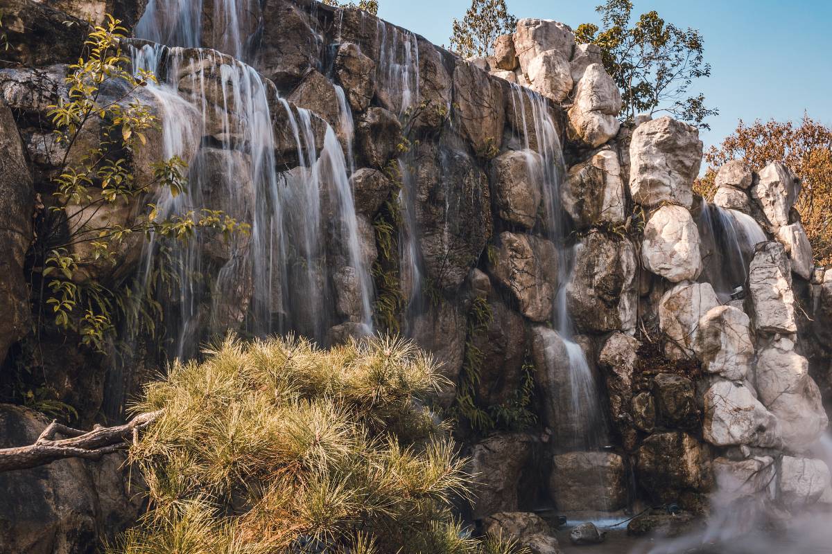 people's-park people's-park