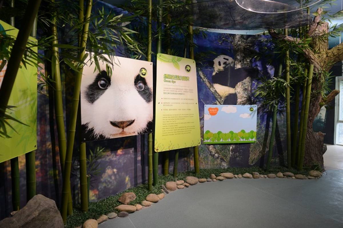 Dujiangyan-Panda-Base-01