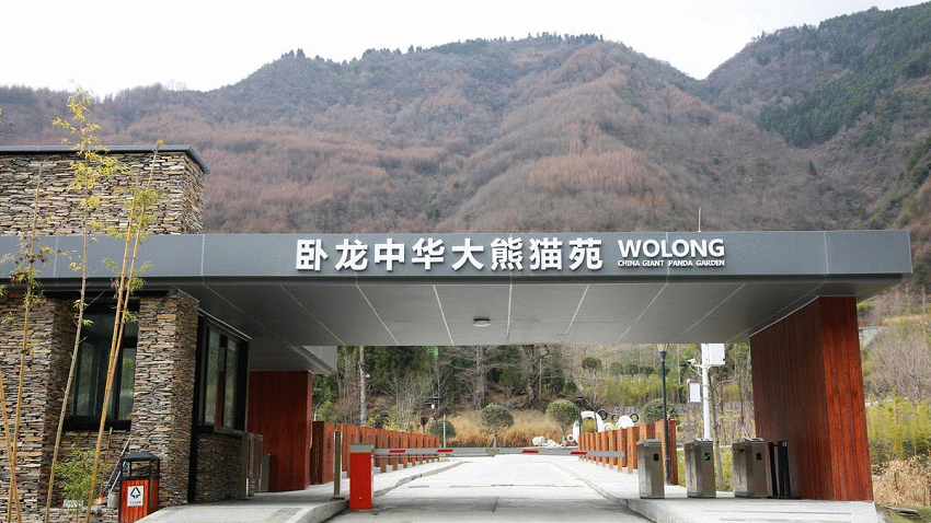 Shenshuping-Base-of-CCRCGP-01