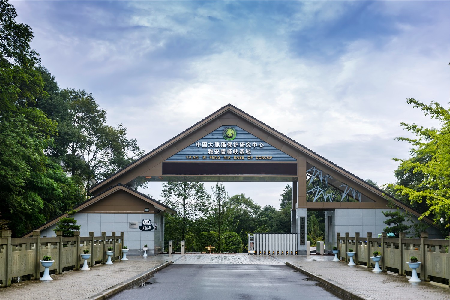 bifengxia-panda-reserve-01