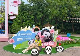 guangzhou-chimelong-safari-park-01