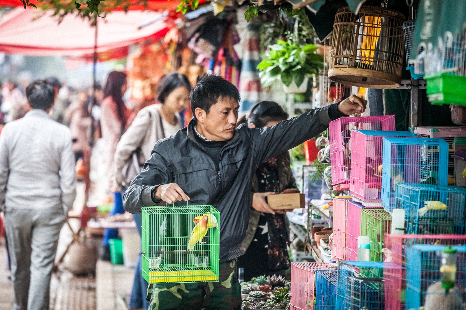 Kunming’s-Flower-Bird-Market-1
