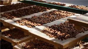 Shangri-La-Tibetan-Incense-Making-01